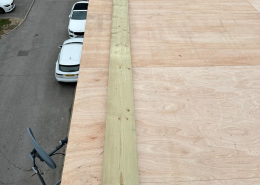 WhatsApp Image 2025-11-14 at 16.13.42 (1)