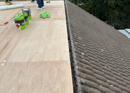 WhatsApp Image 2025-11-14 at 16.13.42 (2)