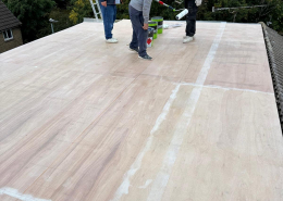 WhatsApp Image 2025-11-14 at 16.13.43 (3)