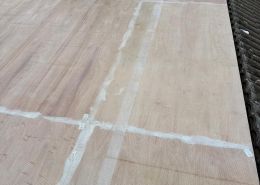 WhatsApp Image 2025-11-14 at 16.13.43 (5)