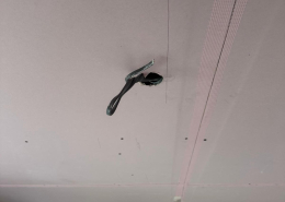 WhatsApp Image 2025-11-14 at 16.16.53 (5)