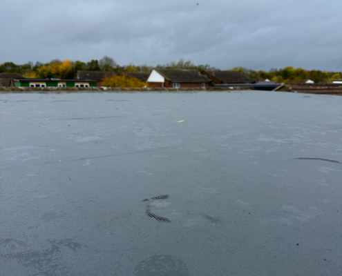 WhatsApp Image 2025-11-14 at 16.19.13 (4)