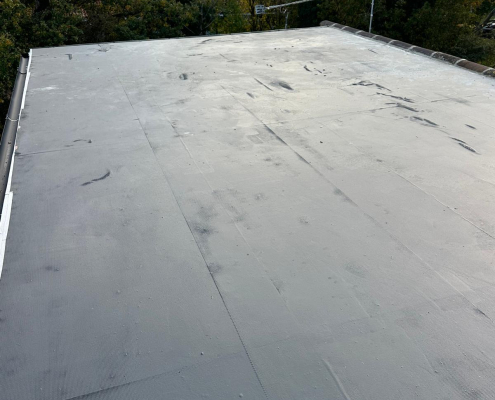 WhatsApp Image 2025-11-14 at 16.28.23 (4)